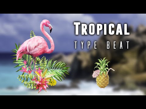 Loredana x Zuna x Shirin David Type Beat "BATIDA" (prod. by Jay Ho Beats) | Tropical Afro Type Beat