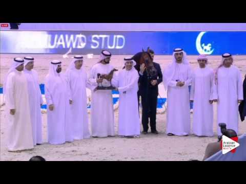 1ST-N.92 AJ SAWARI - Dubai 2016 - Fillies Championship (Class 20)