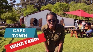 The BEST Wine Estate in Cape Town!