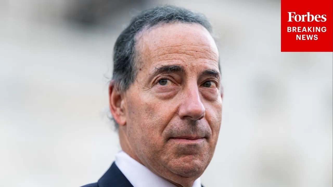 Video: Raskin urges high turnout to counter election fraud claims in House hearing