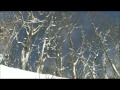 雪明かりの駅 松原健之　cover　 Harukaraharu