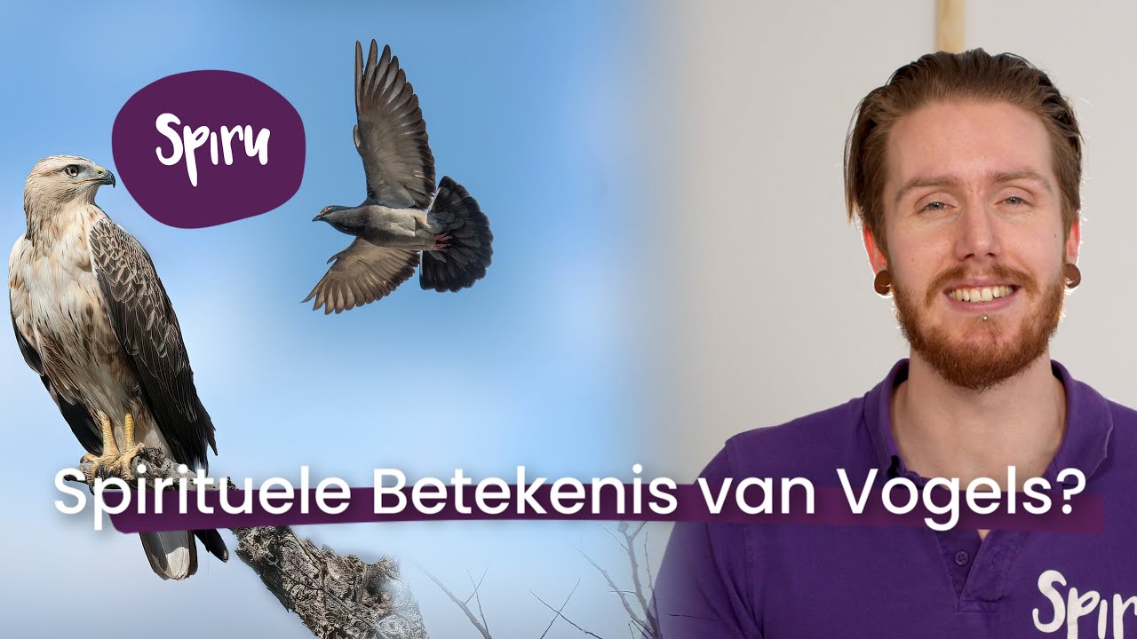 Ken jij De Spirituele Betekenis van deze Vijf Vogels?