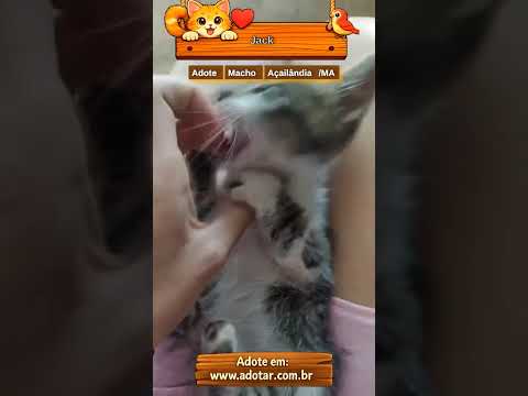 Vídeo de Jack