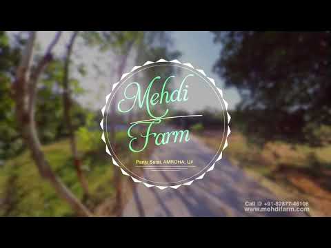 A glimpse of Mehdi farm