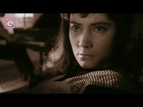 A Heart-Wrenching Tale of Love and War