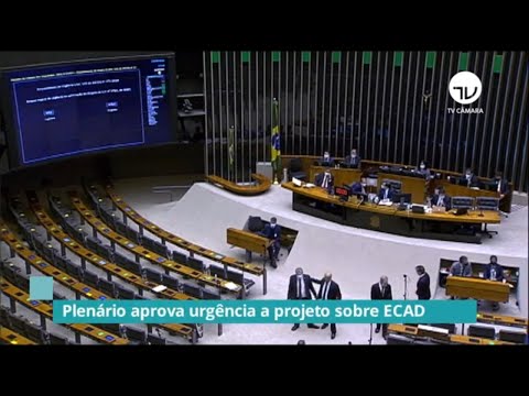 Plenário aprova urgências e adia votação de projetos para próxima semana – 13/08/2020