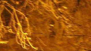 take me back-babybird