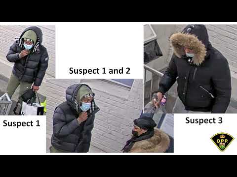 New Suspect Photos in Elnaz Hajtamiri Case