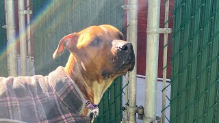 Some Time in the Sun w/ Myra May 239400