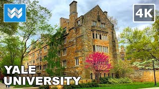 Walking around Yale University in New Haven, Connecticut 【4K】