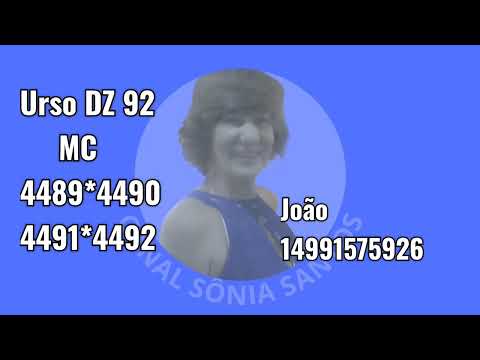 Palpites Sônia Santos p JB/28/11/25. Sexta Feira 