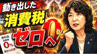食料品消費税ゼロの財源は「中国に流れていたお金」だった｜片山財務大臣の全貌