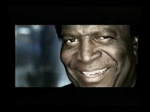 Born To Be Alive - The Disco Boys