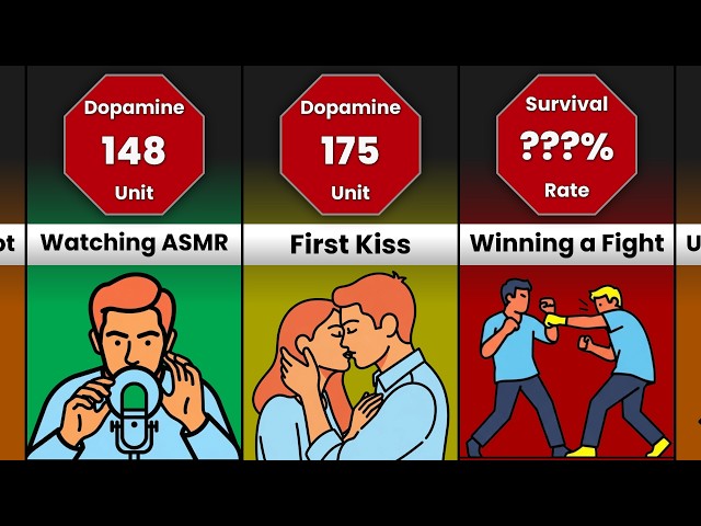 Comparison: Human Dopamine Level Ranked (0-1000 Units)