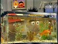 Sesame Street Ernie And Bert Watch Goldfish 1980