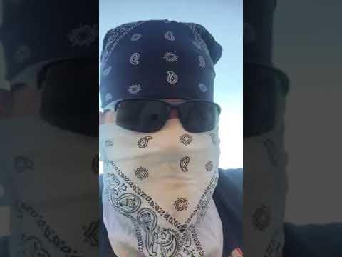 Little wolf stun gun/deployable cartridge self defense