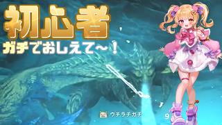 ＃4【モンハンワイルズ初心者】前回ペットにしたこいつがいれば暗闇も安心だね♡
