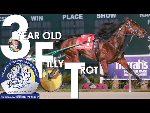 2020 Breeders Crown - Next Level Stuff - 3FT