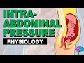 What is Intra-Abdominal Pressure? A review of the physiology.