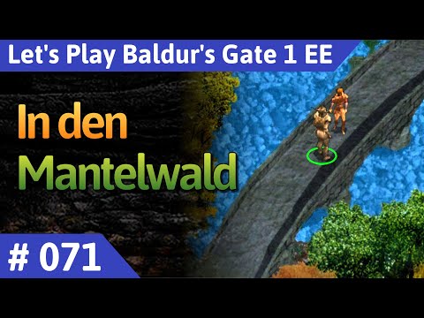Baldur's Gate 1 deutsch Teil 71 - In den Mantelwald Let's Play