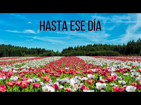 HASTA ESE DÍA | Himno Bautista #506 | Música y Letra