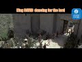 King DAVID Dancing