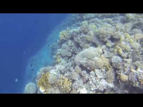 Blue Hole Sharm el Sheikh - 21/02/2015