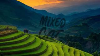 DJ Snake Ft Justin Bieber - Let Me Love You  [Eric Lumiere Cover] (Roostz Remix)