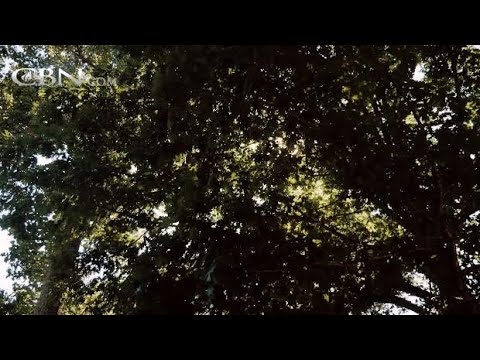 Witness21  2018 12 28