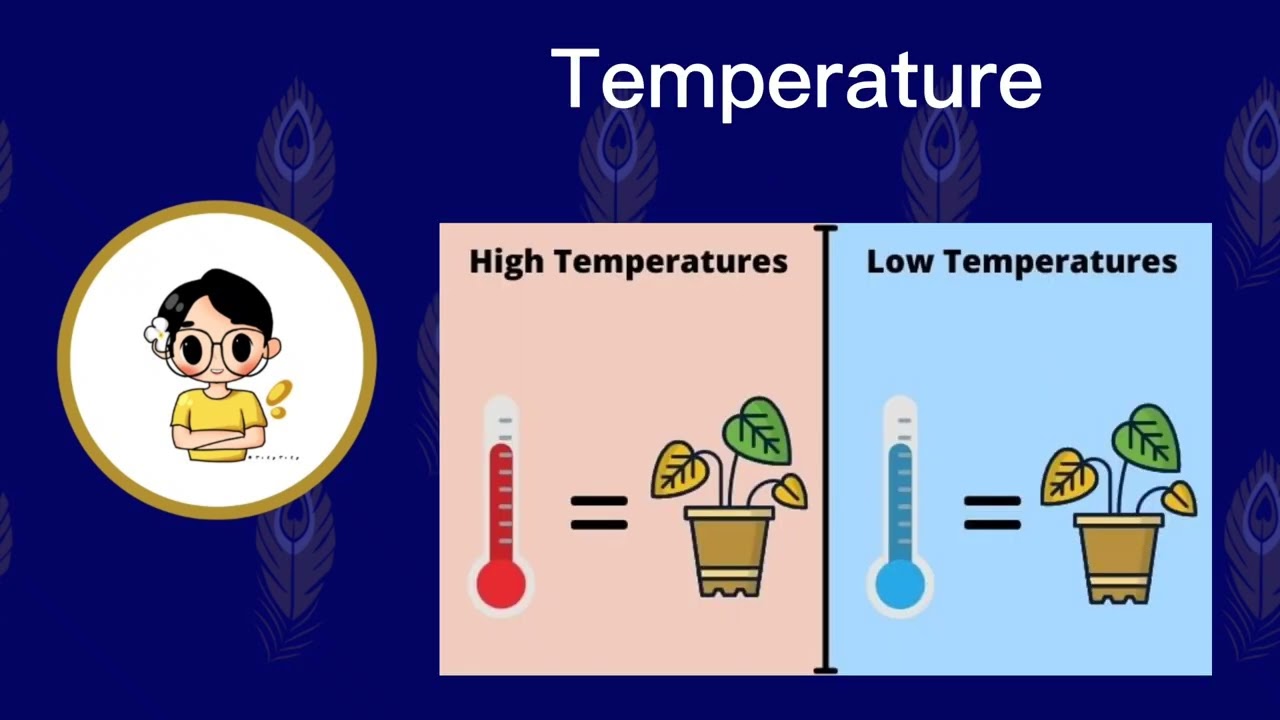 Lesson 11 - Germination