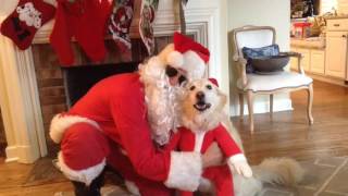 Another Fine Christmas-"Jingle Bell Rock (Glee Cast Version)" Fan Video