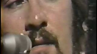 Roy Buchanan / The Messiah Will Come Again '74