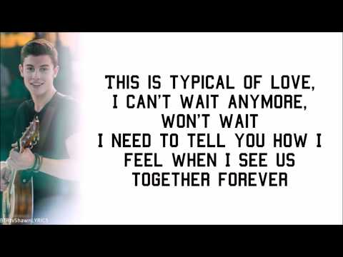 Shawn Mendes - Imagination (with Lyrics) [studio version]