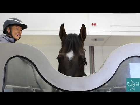 At Home with Yasmin Ingham, Eventing Rider in 2022