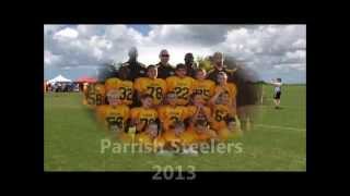 preview picture of video 'MM Parrish Steelers 2013'