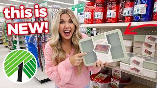 Dollar Tree Organization Everyone Will Want—Here’s Why!