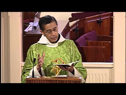 Homilía 19 de noviembre 2014 - el P Miguel