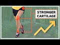 How to strengthen your cartilage?