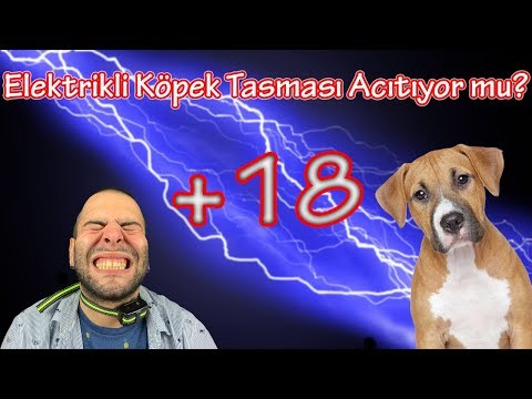 download lagu mp3 mp4 Tasma Kpek, download lagu Tasma Kpek gratis, unduh video klip Tasma Kpek