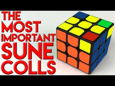 The Important Sune & Antisune COLL's | COLL Tutorial