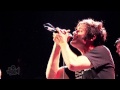 Lagwagon - Brown Eyed Girl (Van Morrison) (Live in Sydney) | Moshcam