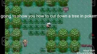 How to cut down a tree in pokemon