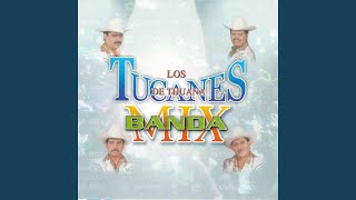 El Resbalon (Banda Mix)