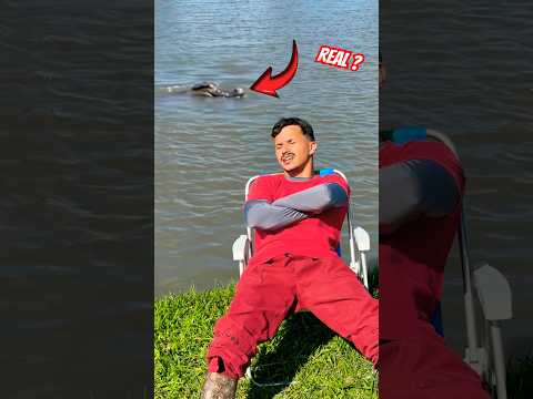 Eu achei que era trollagem… ATÉ VER ISSO