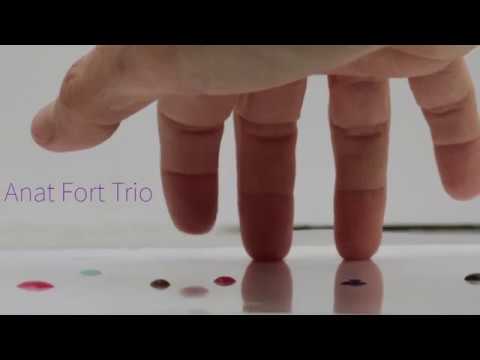 Anat Fort trio – The Limp