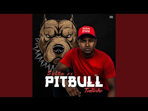 Solta os Pitbull Todinho