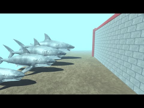 Different Size Shark vs Orca Swimming Clash Block Race -Animal Revolt Battle Simulator