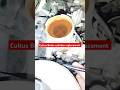 #car repair | Cultus Brake Master cylinder Replacement
