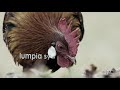 80 Juan Paasa Lyric Video