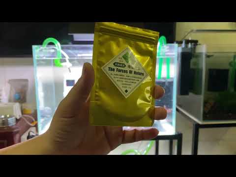 [Bể Sula v2] Phong cách chơi trần:D bước 2 Cấy rêu